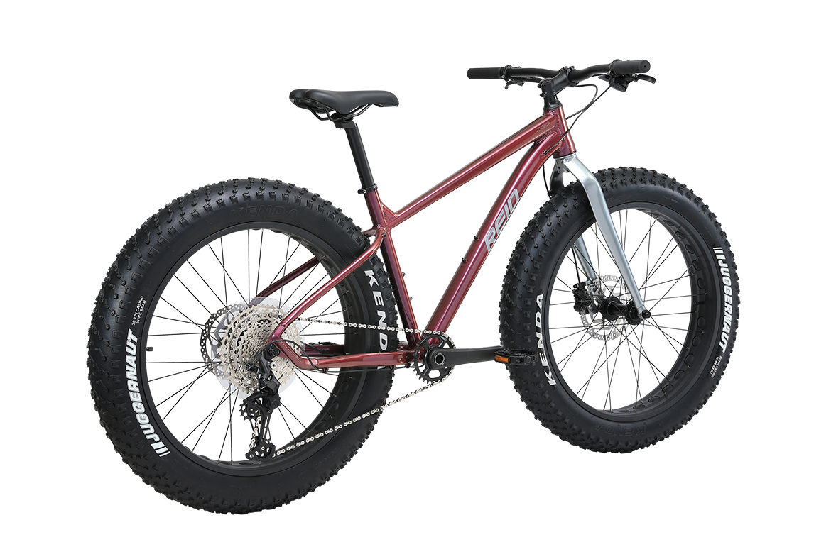 Zeus Carbon Fork Fat Bike Plum Fat Bike Reid   
