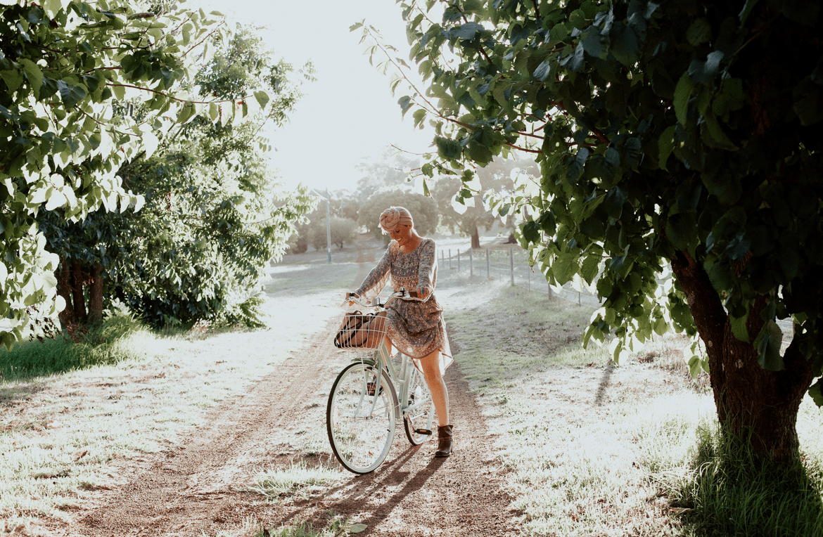 Ladies Classic 7-Speed Vintage Bike Sage Bikes Reid   