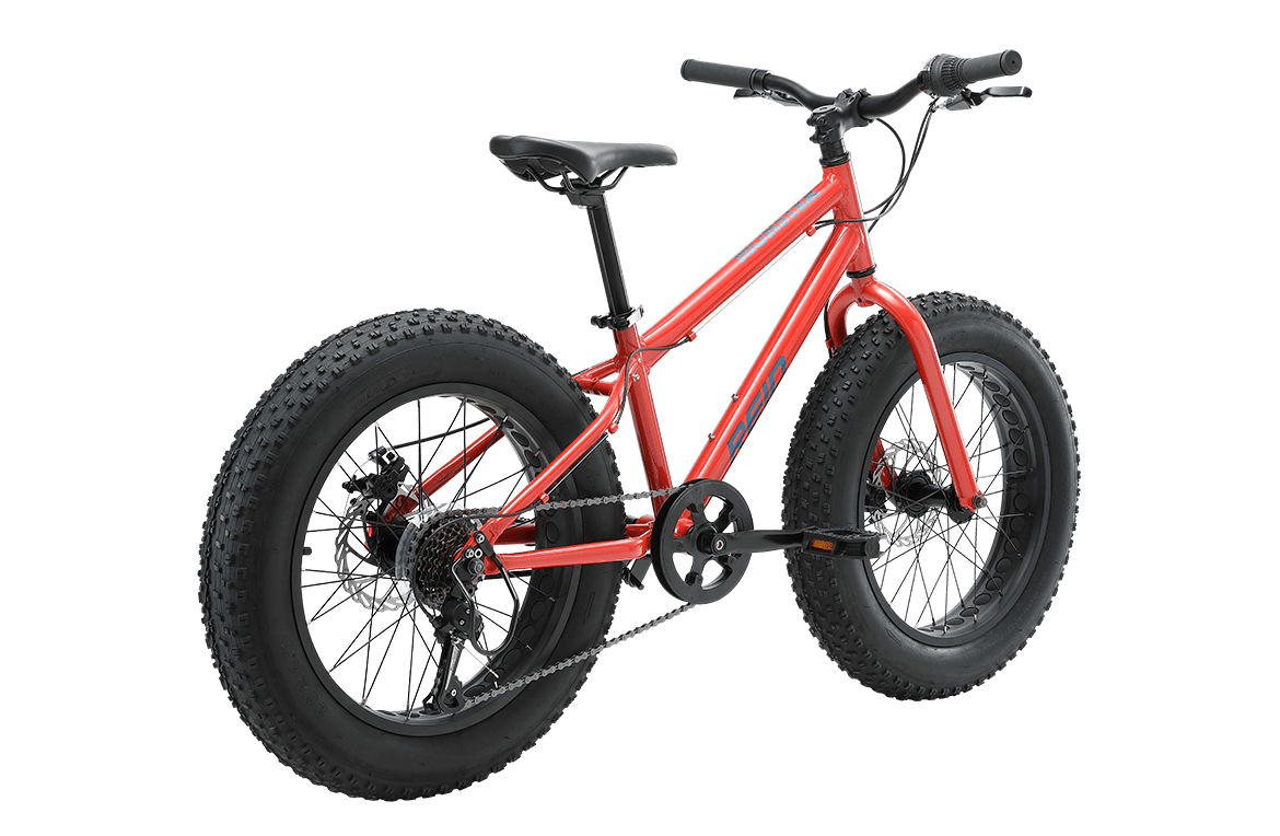 Monster 20" Kids Bike Orange Kids Bike Reid   