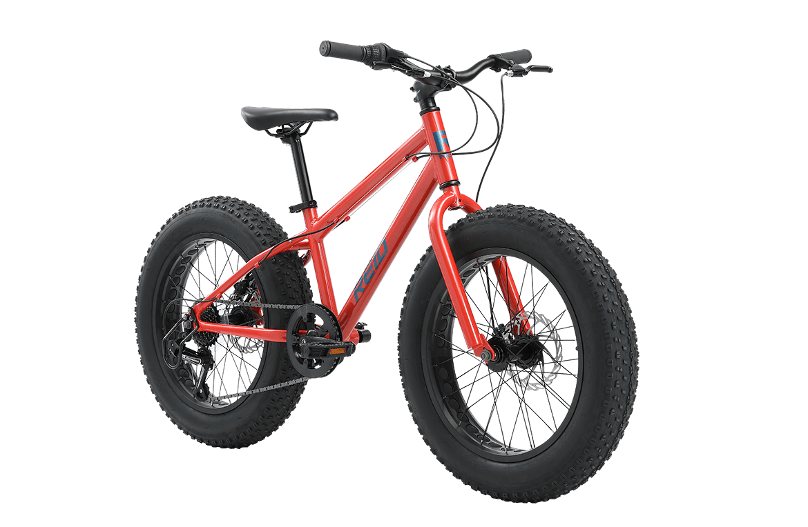 Monster 20" Kids Bike Orange Kids Bike Reid   