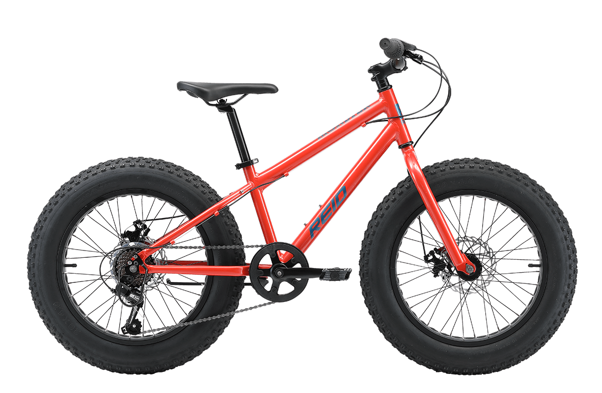 Monster 20" Kids Bike Orange Kids Bike Reid   