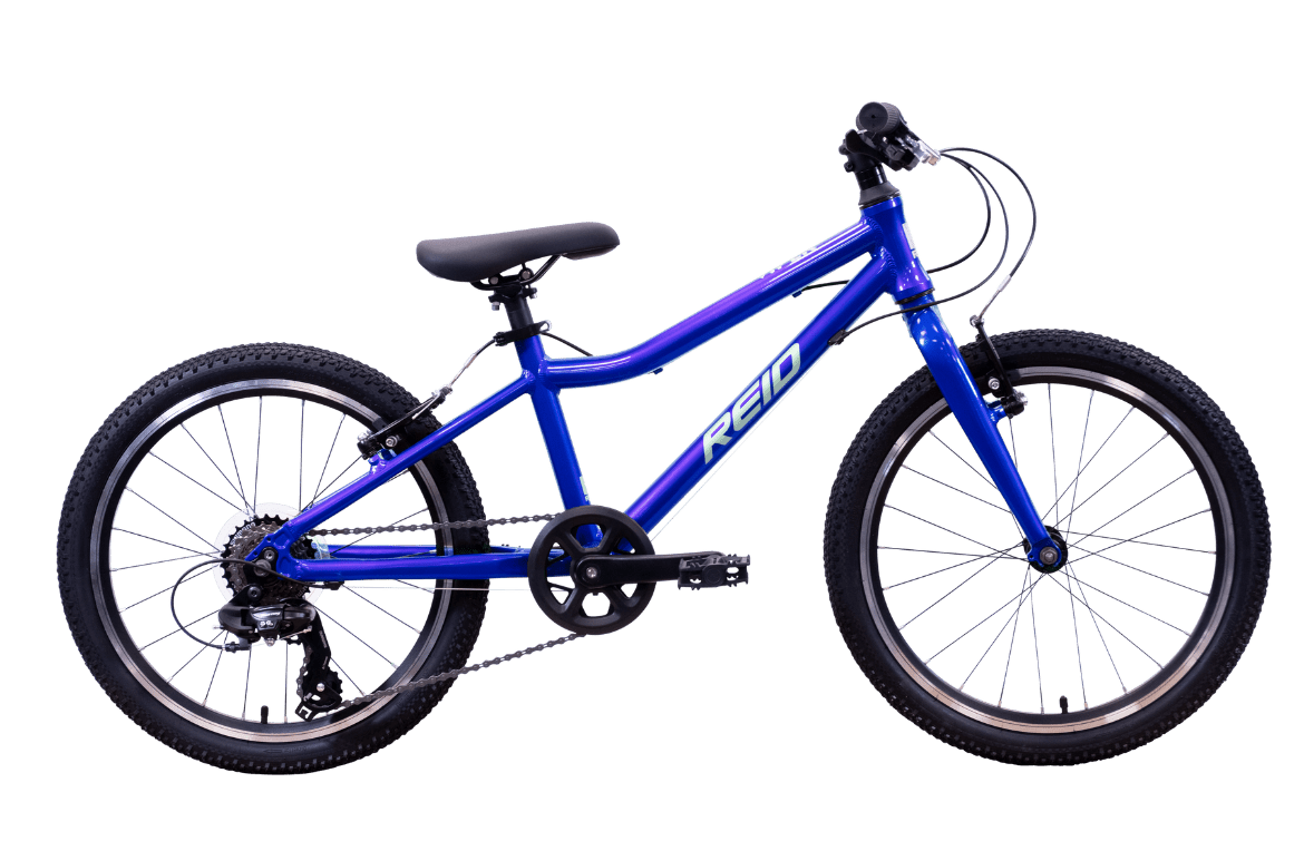 Viper 20" Kids Bike Blue Bikes Reid   