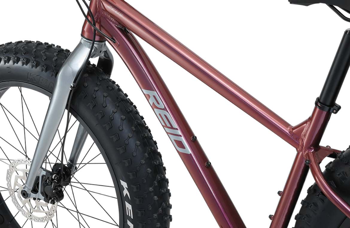 Zeus Carbon Fork Fat Bike Plum Fat Bike Reid   
